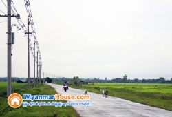 ေျမကြက္ အျမန္ ေရာင္းမည္