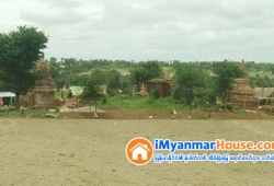 ေျမကြက္ အျမန္ ေရာင္းမည္