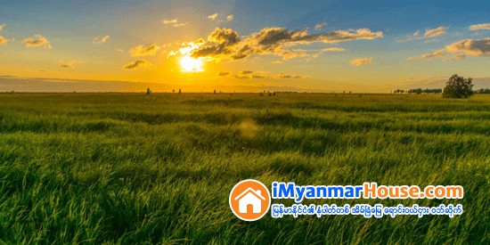 လယ္ေျမကို ေျပာင္းလဲသုံးစြဲမယ္ဆိုရင္ - Property Knowledge in Myanmar from iMyanmarHouse.com