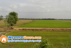 ေျမကြက္ အျမန္ ေရာင္းမည္