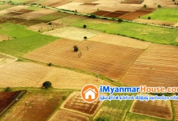 ေျမကြက္ အျမန္ ေရာင္းမည္