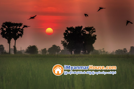 အိမ္အျပန္ ခရီးတစ္ေလွ်ာက္မွာအၿပံဳးပန္းေ၀ေ၀ဆာဆာႏွင့္ ႀကိဳေနေစလိုပါသည္ - Property News in Myanmar from iMyanmarHouse.com
