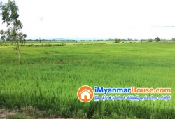 ေျမကြက္ အျမန္ ေရာင္းမည္
