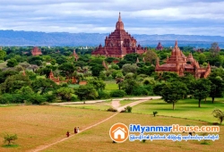 ေျမကြက္ အျမန္ ေရာင္းမည္