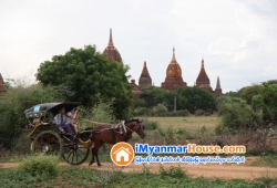 ေျမကြက္ အျမန္ ေရာင္းမည္