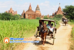 ေျမကြက္ အျမန္ ေရာင္းမည္