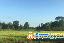 ေျမကြက္ အျမန္ ေရာင္းမည္