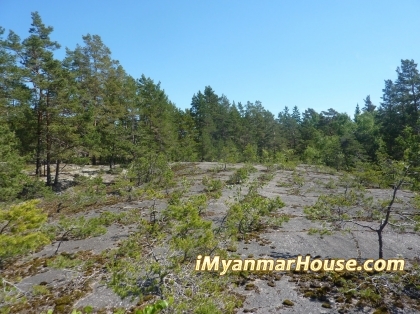 မံုရြာၿမိဳ႕ရွိ ေျမကြက္မ်ား အ၀ယ္သြက္ - Property News in Myanmar from iMyanmarHouse.com