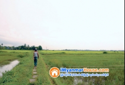 ေျမကြက္ အျမန္ ေရာင္းမည္