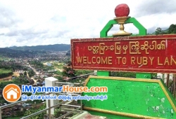 ေျမကြက္ အျမန္ ေရာင္းမည္
