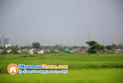 ေျမကြက္ အျမန္ ေရာင္းမည္