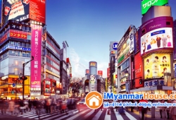 ေျမကြက္ အျမန္ ေရာင္းမည္