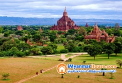 ေျမကြက္ အျမန္ ေရာင္းမည္
