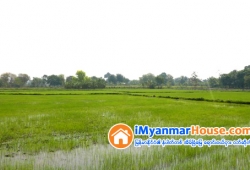 ေျမကြက္ အျမန္ ေရာင္းမည္