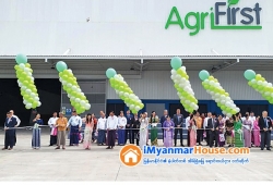 ေျမကြက္ အျမန္ ေရာင္းမည္