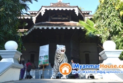 ေျမကြက္ အျမန္ ေရာင္းမည္