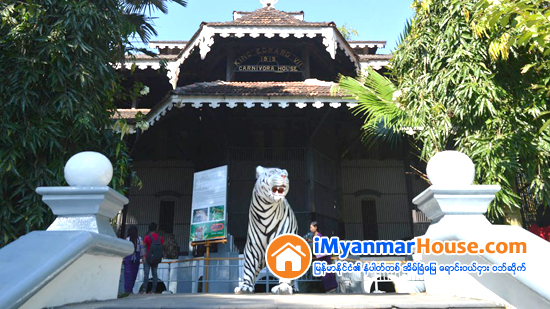 ရန္ကုန္တိရစာၱန္ဥယ်ာဥ္အတြင္းမွ ႏွစ္ ၁၀၀ သက္တမ္းရွိ က်ားရုံေဟာင္းကုိ အျပာေရာင္ ကမၺည္းျပားတပ္ - Property News in Myanmar from iMyanmarHouse.com