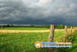 ေျမကြက္ အျမန္ ေရာင္းမည္