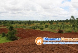 ေျမကြက္ အျမန္ ေရာင္းမည္