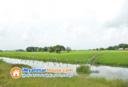 ေျမကြက္ အျမန္ ေရာင္းမည္