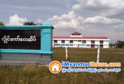 ေျမကြက္ အျမန္ ေရာင္းမည္