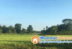 ေျမကြက္ အျမန္ ေရာင္းမည္