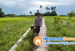 ေျမကြက္ အျမန္ ေရာင္းမည္