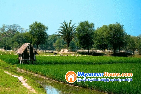 ဥယ်ာဥ္ၿခံေျမေရာင္းၿပီး ကိုယ္စားလွယ္လႊဲစာေပးလိုက္လွ်င္ ပိုင္ဆိုင္မႈေတြအားလံုး ဆံုး႐ံႈးေတာ့မွာလား - Property Knowledge in Myanmar from iMyanmarHouse.com