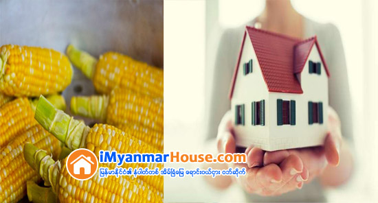 ေျပာင္းဖူးသည္ဘဝေျပာင္း အိမ္ျခံေျမအက်ိဴးေဆာင္တစ္ဦးရဲ႕ ေက်းဇူးေၾကာင့္… - Property Knowledge in Myanmar from iMyanmarHouse.com