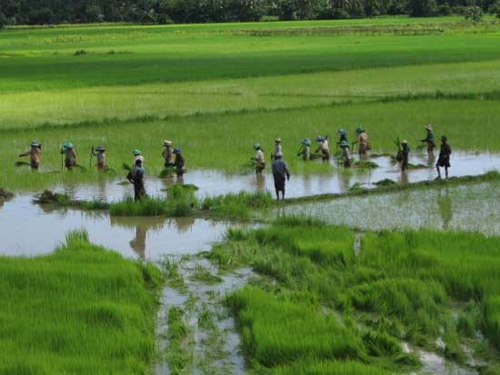 ေျမဧကေပါင္းေလးသိန္းေက်ာ္ ေတာင္သူမ်ားလက္ဝယ္ ျပန္လည္လႊဲေျပာင္းေပးအပ္ခဲ့ၿပီးျဖစ္ က်န္စြန္႔လႊတ္ေျမမ်ား လယ္သမားမ်ားထံ အျမန္ဆုံးေရာက္ရွိရန္ေဆာင္ရြက္ေနဟု သမၼတေျပာၾကား - Property News in Myanmar from iMyanmarHouse.com