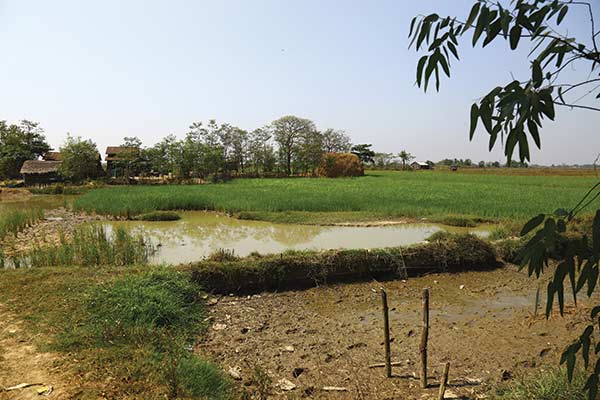 ရန္ကုန္ၿမိဳ႕သစ္ ပထမအဆင့္လုပ္ငန္း တင္ဒါတြင္ ဓာတ္အားထုတ္လုပ္ျဖန္႔ျဖဴးေရး လုပ္ကိုင္လိုသည့္ကုမၸဏီ အမ်ားဆံုးျဖစ္ - Property News in Myanmar from iMyanmarHouse.com