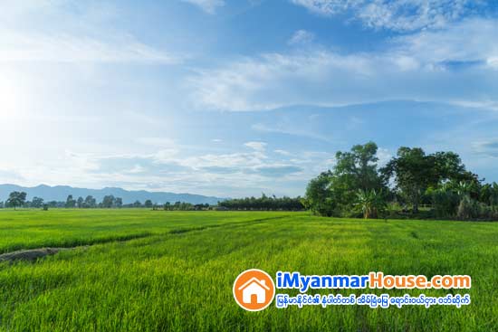မေကြးတိုင္းအတြင္း သိမ္းဆည္းေျမမ်ားကို ျပန္ေပး - Property News in Myanmar from iMyanmarHouse.com