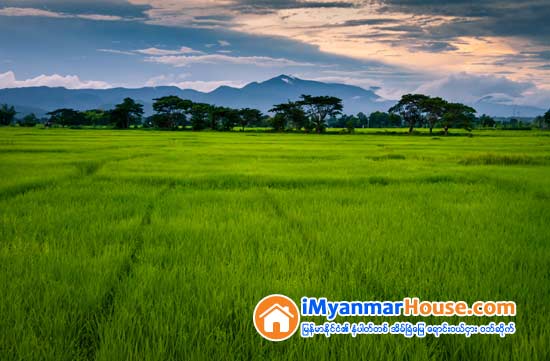 အေမြပံုပစၥည္းလယ္ယာေျမကို လုပ္ပို္င္ခြင့္မွတ္ပံုတင္မထားပါက စီရင္ဆံုးျဖတ္ခြင့္မရွိ - Property Knowledge in Myanmar from iMyanmarHouse.com