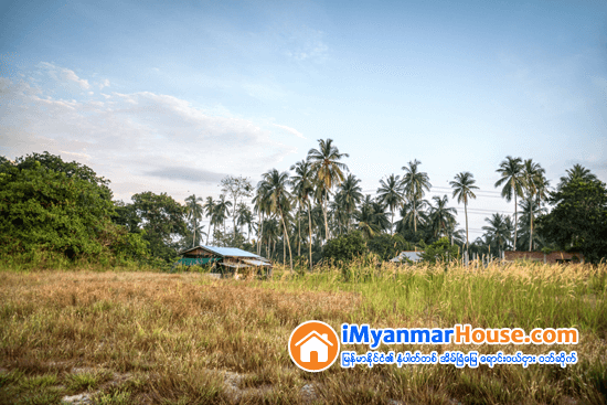 ခြင့္ျပဳခ်က္ျဖင့္ ထားသူအား နွင္လိုလွ်င္ လူေနအိမ္ရာလား၊ လယ္ယာေျမလား စိစစ္ရန္ - Property Knowledge in Myanmar from iMyanmarHouse.com