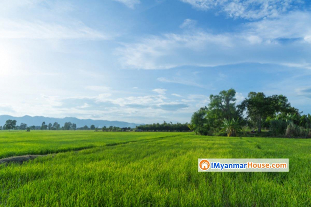 လယ္ယာေျမ ဝယ္ေရာင္း လုပ္ၾကရာမွာ မသိမျဖစ္ လုိအပ္တာ ခြင့္ျပဳမိန္႕ (ပံုစံ-၁၅) ပါ - Property Knowledge in Myanmar from iMyanmarHouse.com