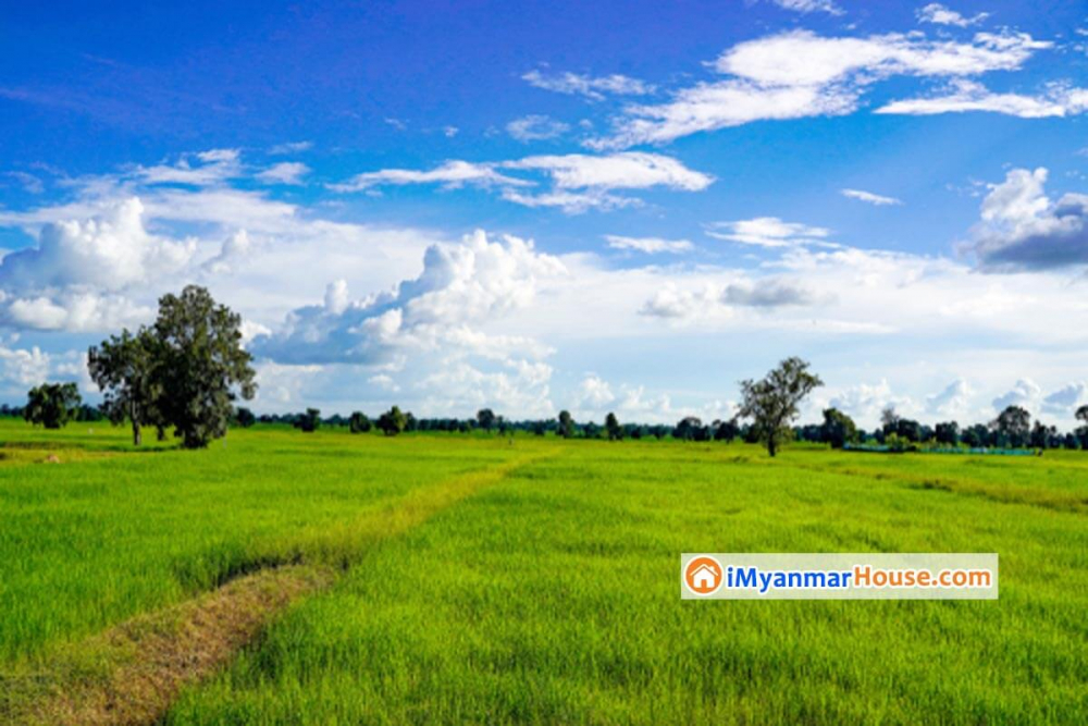 တိုင္းအစိုးရက စတင္ေရာင္းခ်သည့္ ေျမကြက္မ်ား ၃ ႏွစ္အတြင္း အမည္ေျပာင္းခြင့္မရွိ - Property News in Myanmar from iMyanmarHouse.com