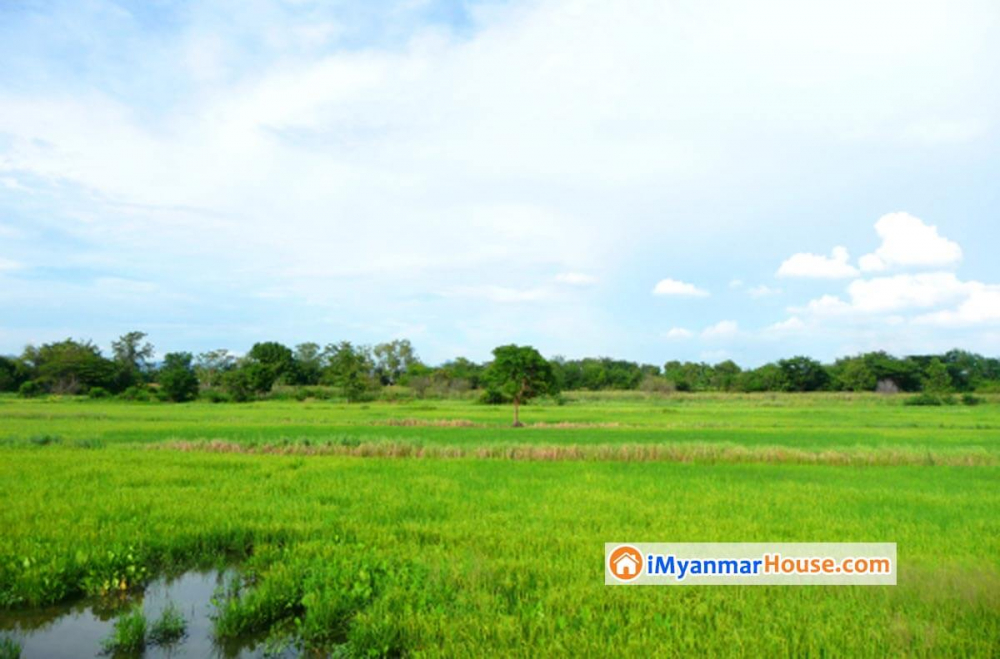 ရန္ကုန္တိုင္းအစိုးရကေရာင္းခ်သည့္ ေျမအသုံးျပဳခြင့္ေလွ်ာက္လႊာ ဝယ္ယူသူ ၁၅၀၀၀ ေက်ာ္အနက္ ေလွ်ာက္လႊာ ၁၂၀၀၀ ေက်ာ္အား စစ္ေဆးေနဆဲျဖစ္ - Property News in Myanmar from iMyanmarHouse.com