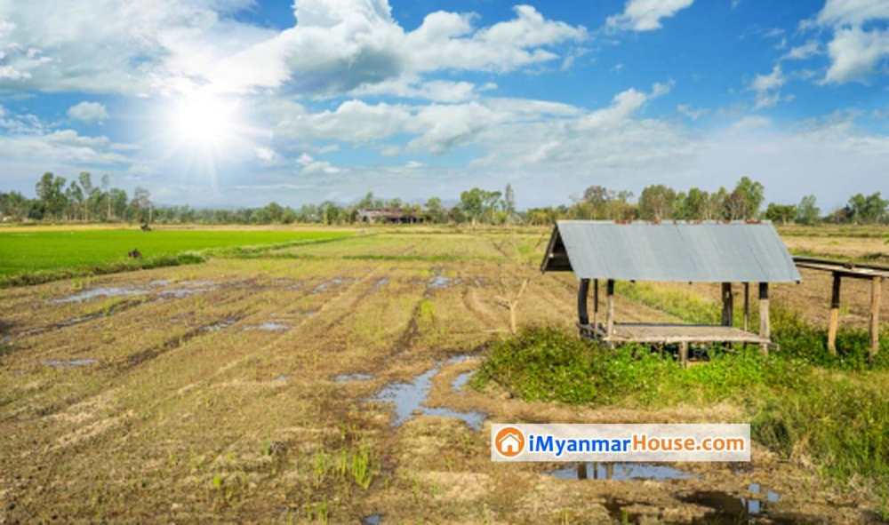 ဂရန္ မူရင္းပိုင္ရွင္က အျခားသူတစ္ဦးသို႔ ဂရန္ႏွင့္တကြ လႊဲေျပာင္းေရာင္းခ်ထားၿပီးေၾကာင္း ကန႔္ကြက္သူရွိေနပါလ်က္ ဂရန္မိတၱဴမွန္ ထပ္ေလွ်ာက္ထားျခင္းကို ခြင့္ျပဳပိုင္ခြင့္ ရွိ/မရွိ သိရွိလိုေၾကာင္း ပဲခူးတိုင္းေဒသႀကီး မဲဆႏၵနယ္အမွတ္ (၁၂) မွ ဦးေအာင္သိန္း ေမးျမန္း - Property News in Myanmar from iMyanmarHouse.com