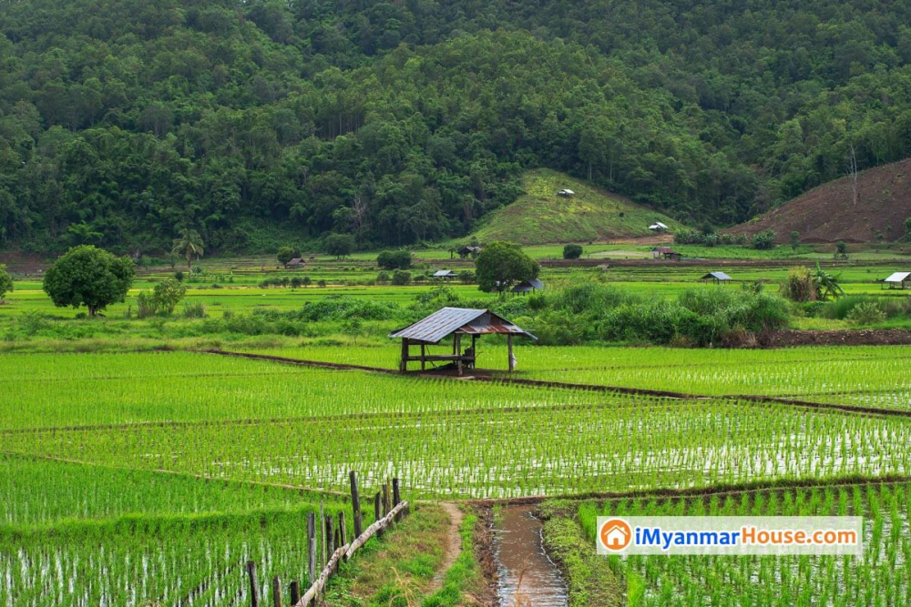 ၃(ခ) ေျမကြက္နဲ႔ ၃(က) ေျမကြက္တူလား။ ၀ယ္ယူမည္ဆိုလွ်င္ ? - Property Knowledge in Myanmar from iMyanmarHouse.com