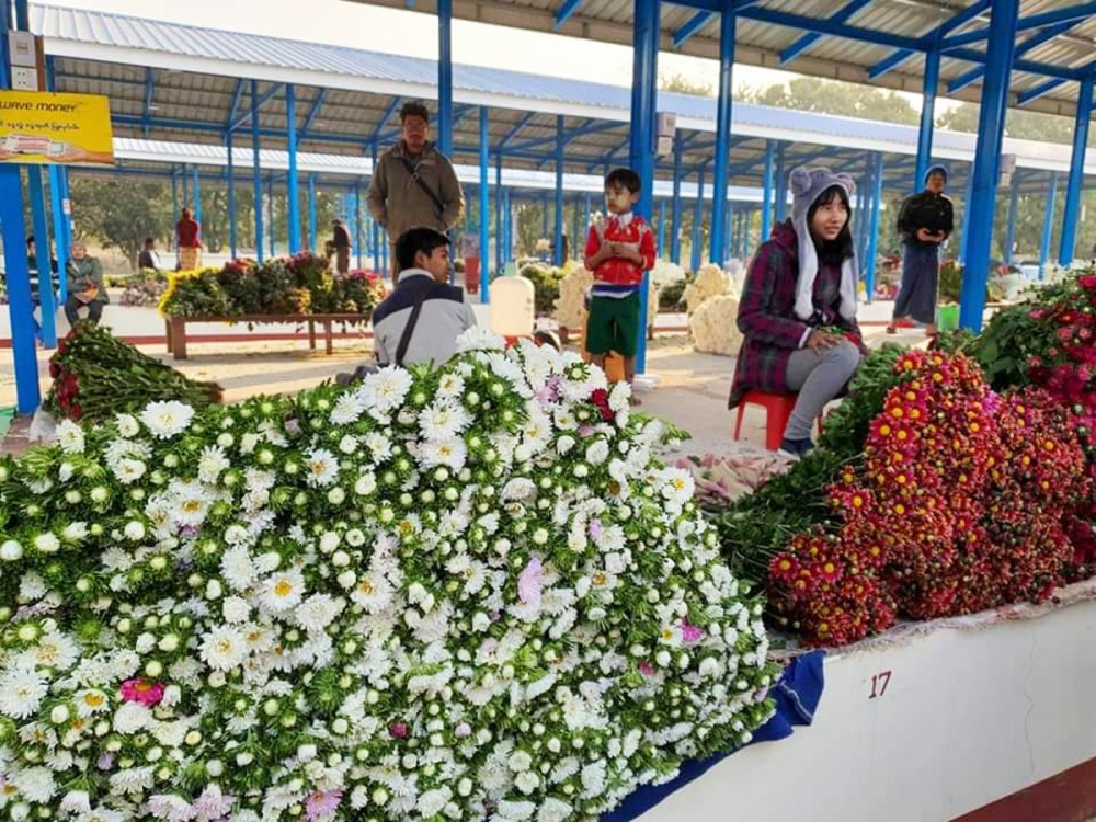 Pyin Oo Lwin’s wholesale flower market opens - Property News in Myanmar from iMyanmarHouse.com