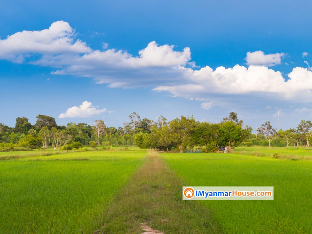 ရွာမြေဝယ်ယူခြင်းသည် လယ်ယာမြေဝယ်ယူခြင်းထက် ခိုင်မာမှုရှိ /မရှိ။ - Property Knowledge in Myanmar from iMyanmarHouse.com