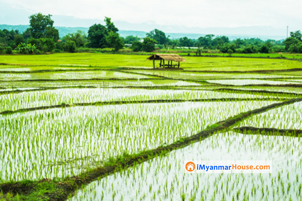လယ်ယာမြေနှင့်အခြားမြေများ သိမ်းဆည်းခြင်းခံရမှုများ ပြန်လည်စိစစ်ရေးဗဟိုကော်မတီက မြေယာကိစ္စတိုင်ကြားစာများနှင့်ပတ်သက်၍ စိစစ်ရန်အတွက် သတင်းထုတ်ပြန် - Property News in Myanmar from iMyanmarHouse.com