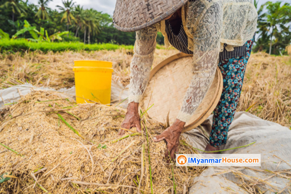 နိုင်ငံခြားအသေးစားလုပ်ငန်း သုံးခုက ပြည်တွင်းတောင်သူများအတွက် ဒေါ်လာ ၁၄ သန်းထုတ်ချေးမည် - Property News in Myanmar from iMyanmarHouse.com