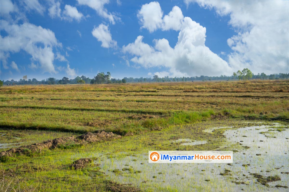 အစိုးရက လက်ရှိအချိန်ထိ မြေလွတ်မြေရိုင်း ဧက တစ်သန်းခွဲကျော် ပြန်သိမ်းထားဟုဆို - Property News in Myanmar from iMyanmarHouse.com
