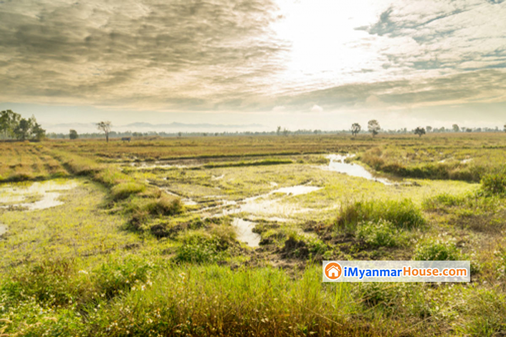 လယ်ယာမြေကိုအခြားနည်းဖြင့်အသုံးပြုရန် လျှောက်ထားချက်နှင့် ပက်သက်၍ ဥပဒေရေးရာသိမှတ်ဖွယ်ရာ - Property Knowledge in Myanmar from iMyanmarHouse.com