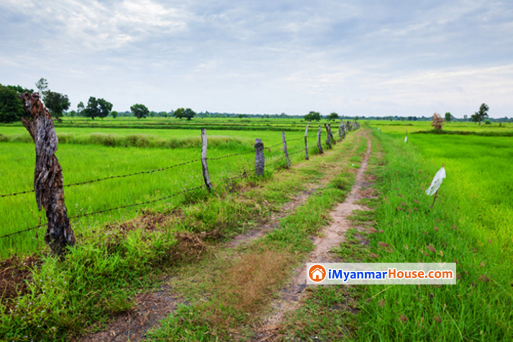 တမူထူးခြား သန်လျင် ဗိုလ်ချုပ်ရွာသစ်က မြေကွက်များ - Property Knowledge in Myanmar from iMyanmarHouse.com