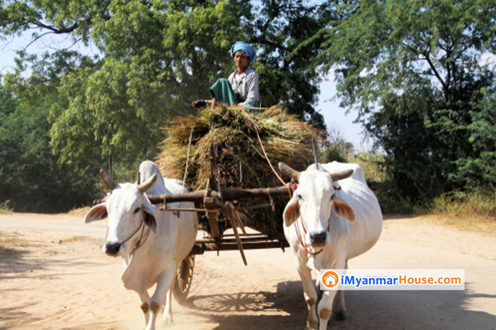 ကျေးရွာများရှိ အသေးစား စီးပွားရေးလုပ်ငန်းများကို ကျပ်ဘီလီယံ ၄၀ ကျော်ထောက်ပံပေးခဲ့ဟုဆို - Property News in Myanmar from iMyanmarHouse.com