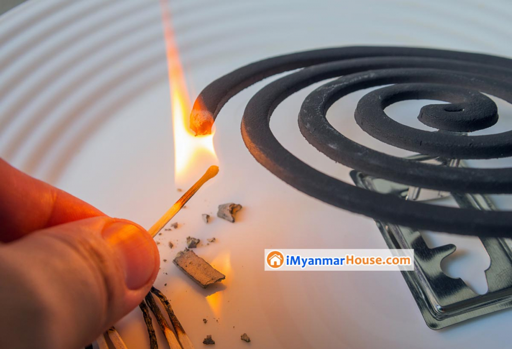 ခြင်ဆေးခွေရဲ့ ဆိုးကျိုးများ - Property Knowledge in Myanmar from iMyanmarHouse.com