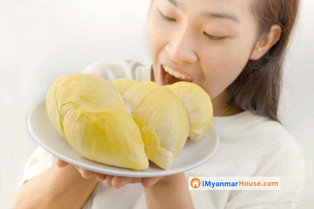 ဒူးရင်းသီး ကြိုက်သူများ သတိပြုစရာ - Property Knowledge in Myanmar from iMyanmarHouse.com