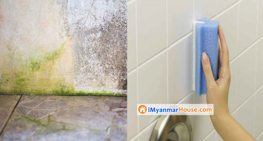 အိမ်ရဲ့ ကြမ်းပြင်နဲ့ နံရံတွေမှာရှိတဲ့ မှိုနဲ့ ရေညှိတွေကို အပြီးသတ်ဖယ်ရှားနည်း (၃)နည်း - Property Knowledge in Myanmar from iMyanmarHouse.com